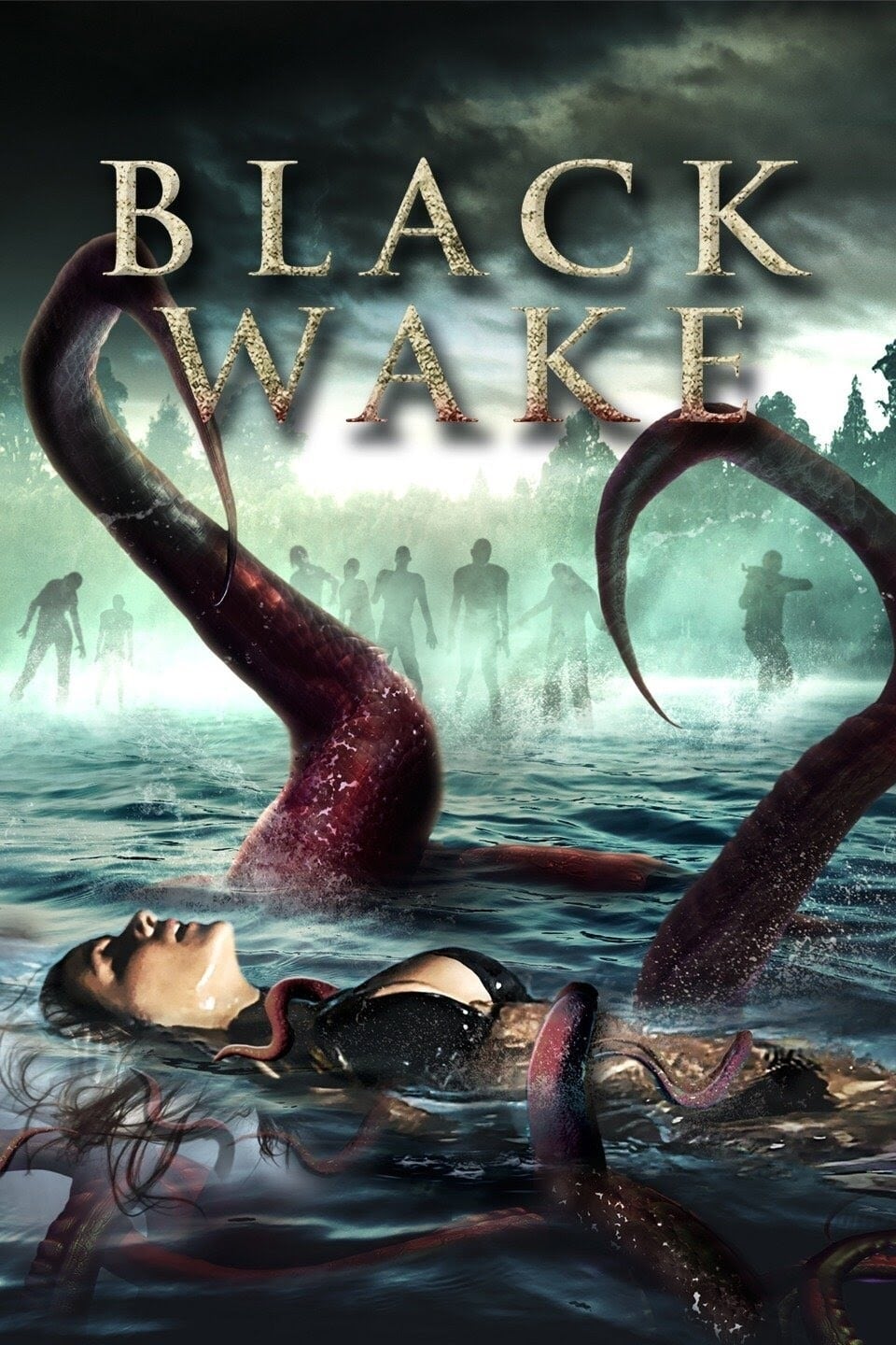Постер Black Wake